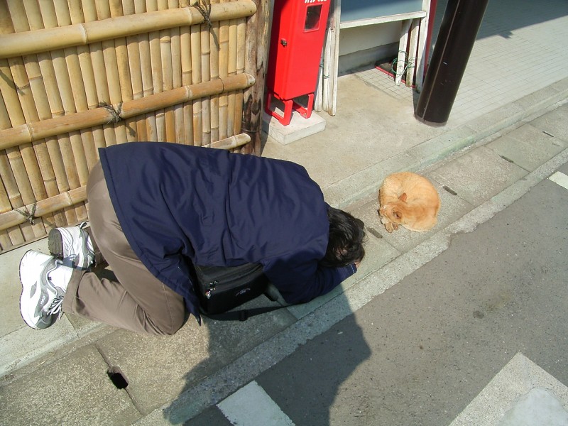 2005/03/03 San-kei-en