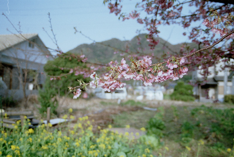 2005/02/23 Kawatsu-SAKURA