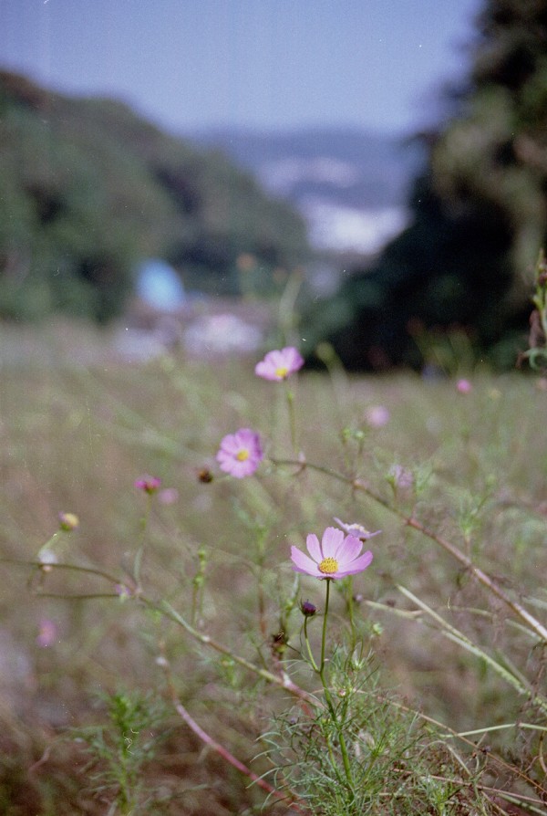 2004/10/17 Kurihama HANA-no-KUNI