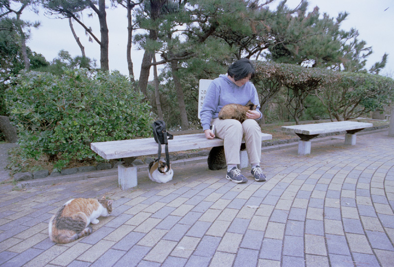 2004/11/14 Jou-ga-shima