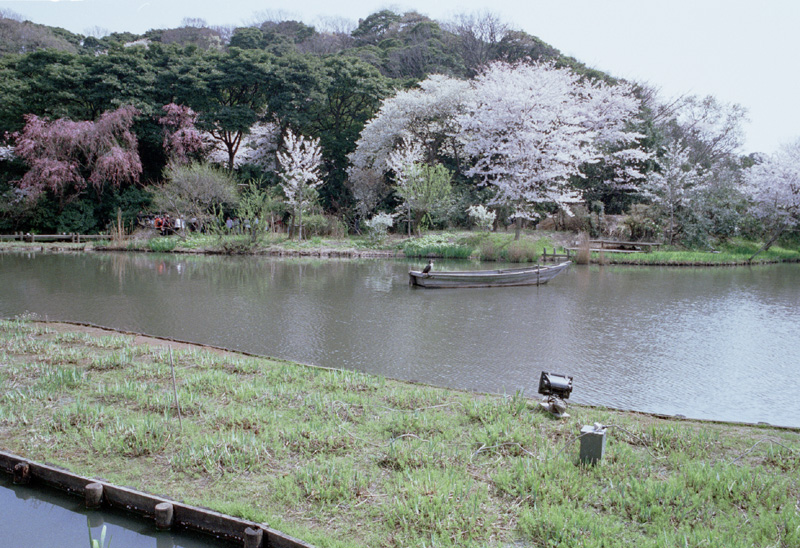 2006/04/01 Yokohama Sankei-en
