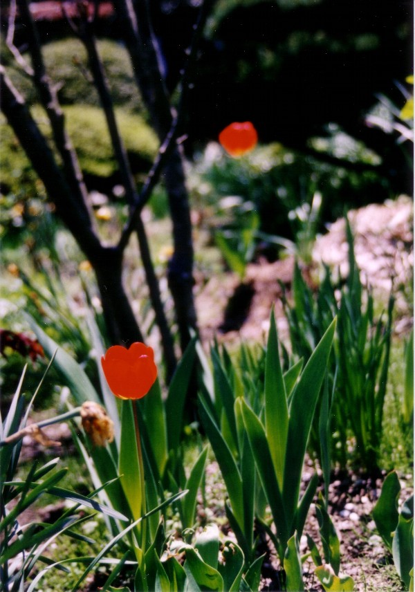 2004/04/29 Nagano city