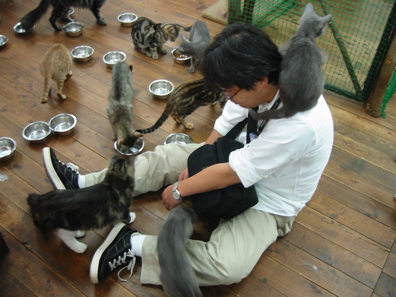 2004/07/17 Utsukushima-Kougen
