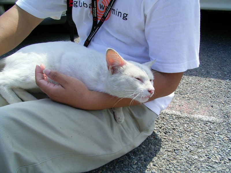 2004/09/23 Jo-ga-shima