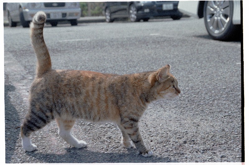 2004/09/23 Jo-ga-shima