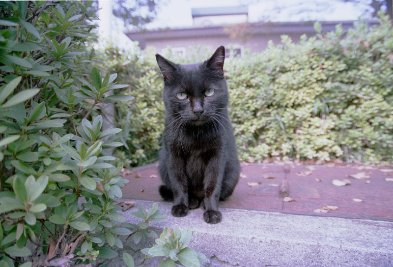 2004/11/06 Mitsuike Park