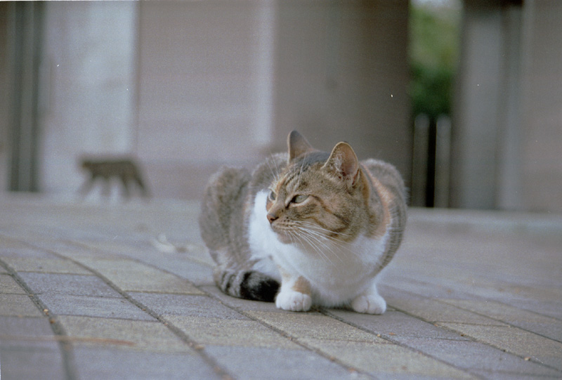 2004/11/14 Jo-ga-shima