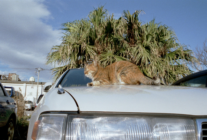 2004/12/30 Jo-ga-shima