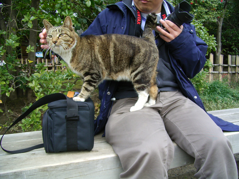 2005/03/03 San-kei-en