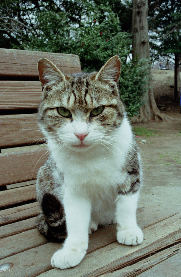 2005/04/02 Mitsuike Park