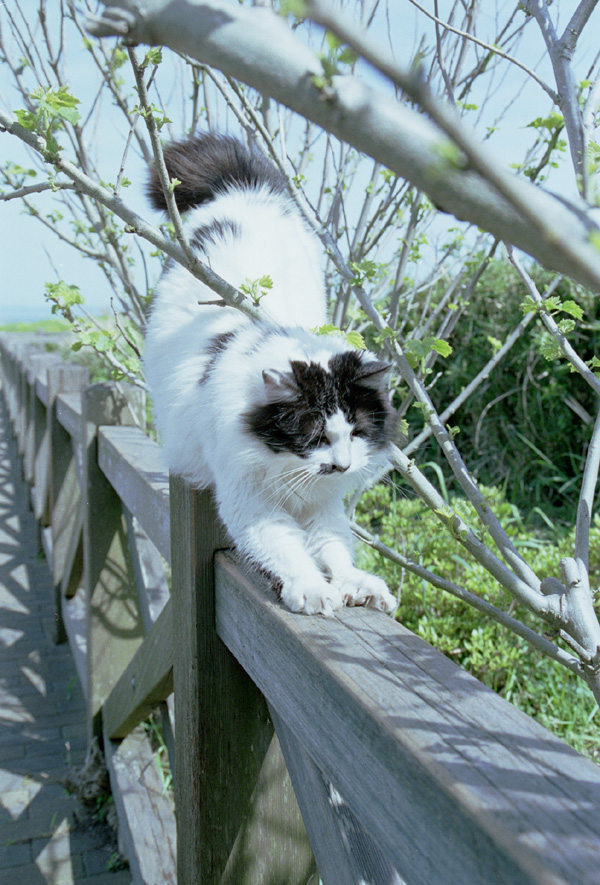 2005/04/23 Jo-ga-shima Park