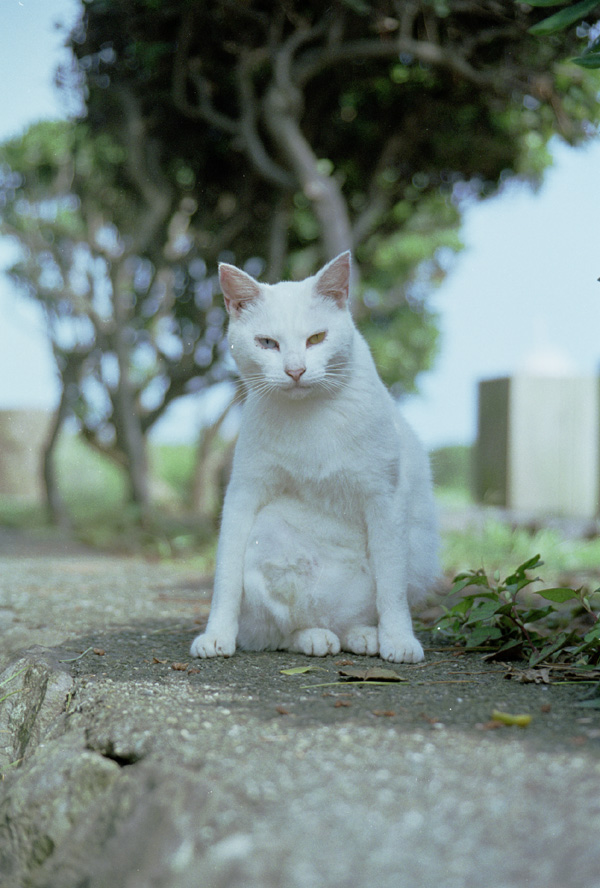 2005/06/04 Jo-ga-shima Park
