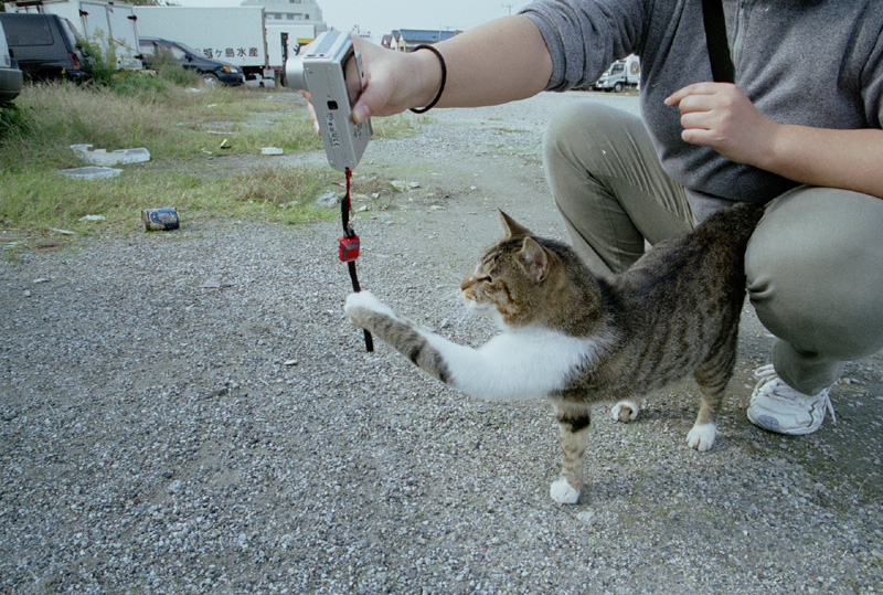 2005/11/03 Jo-ga-shima