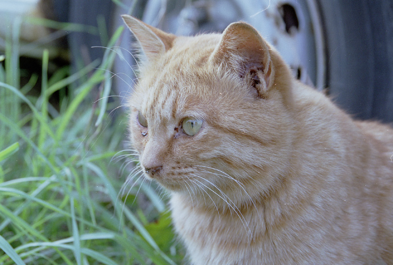 2005/11/03 Jo-ga-shima