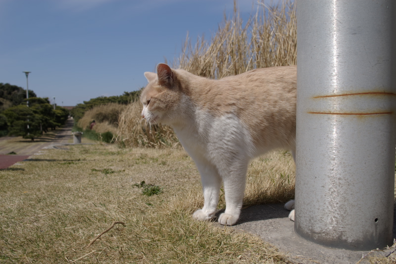 2007/03/18 Jo-ga-shima