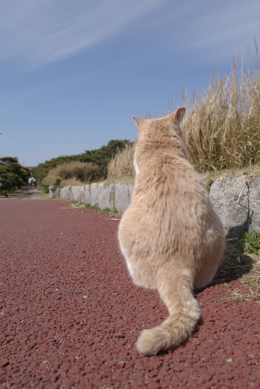 2007/03/18 Jo-ga-shima