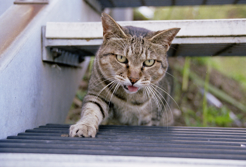 2007/09/22 Jo-ga-shima