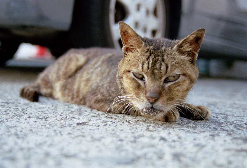 2007/09/22 Jo-ga-shima