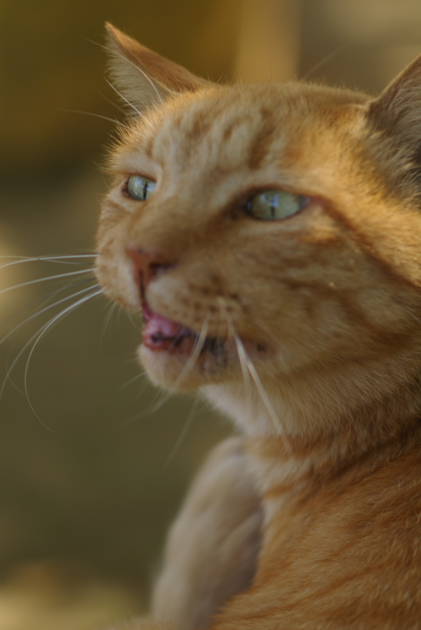 2008/10/21 Mitsuike-park